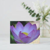 Lotus flower en betekenis ervan briefkaart (Staand voorkant)