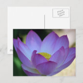 Lotus flower en betekenis ervan briefkaart (Voorkant / Achterkant)