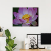 Lotus flower en betekenis ervan poster (Thuiskantoor)