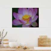 Lotus flower en betekenis ervan poster (Keuken)