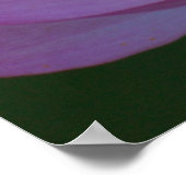 Lotus flower en betekenis ervan poster (Hoek)