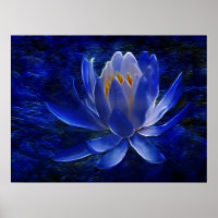 Lotus flower en betekenis ervan