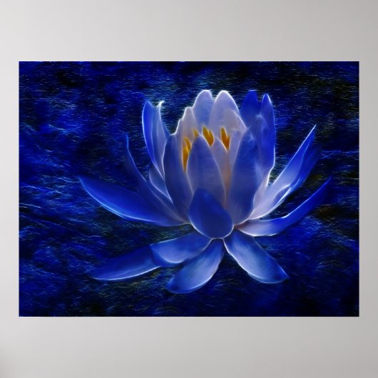 Lotus flower en betekenis ervan poster (Voorkant)