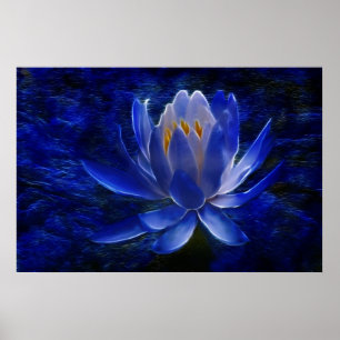 Lotus flower en betekenis ervan poster
