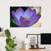 Lotus flower en betekenis ervan poster (Thuiskantoor)