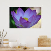 Lotus flower en betekenis ervan poster (Keuken)