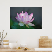 Lotus flower en betekenis ervan poster (Keuken)