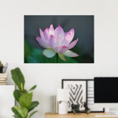 Lotus flower en betekenis ervan poster (Thuiskantoor)