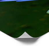 Lotus flower en betekenis poster (Hoek)