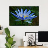 Lotus flower en betekenis poster (Thuiskantoor)