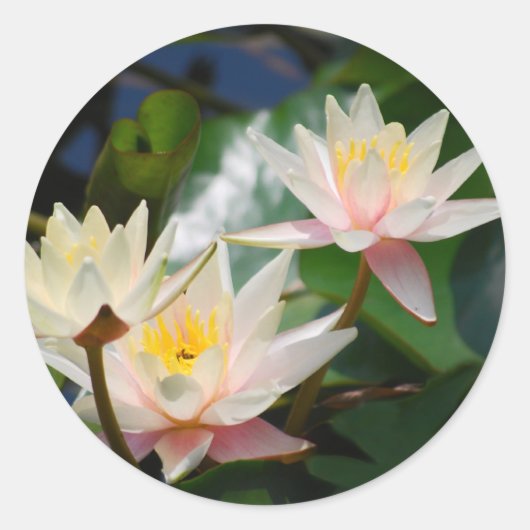 Lotus flower en betekenis ronde sticker (Voorkant)