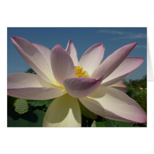 Lotus Flower en Blue Sky I