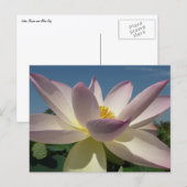 Lotus Flower en Blue Sky I Briefkaart (Voorkant / Achterkant)