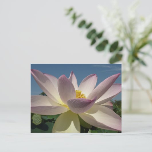 Lotus Flower en Blue Sky I Briefkaart (Staand voorkant)