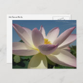 Lotus Flower en Blue Sky I Briefkaart (Voorkant / Achterkant)