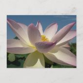 Lotus Flower en Blue Sky I Briefkaart (Voorkant)