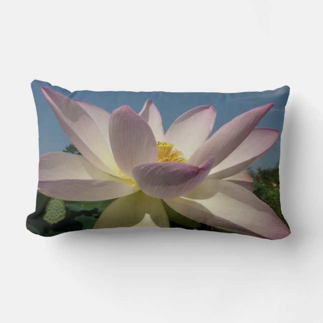 Lotus Flower en Blue Sky I Kussen (Voorkant)
