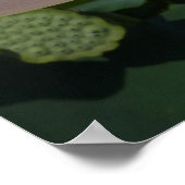 Lotus Flower en Blue Sky I Poster (Hoek)