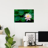 Lotus Flower en Lily Pads Poster (Thuiskantoor)