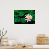 Lotus Flower en Lily Pads Poster (Keuken)