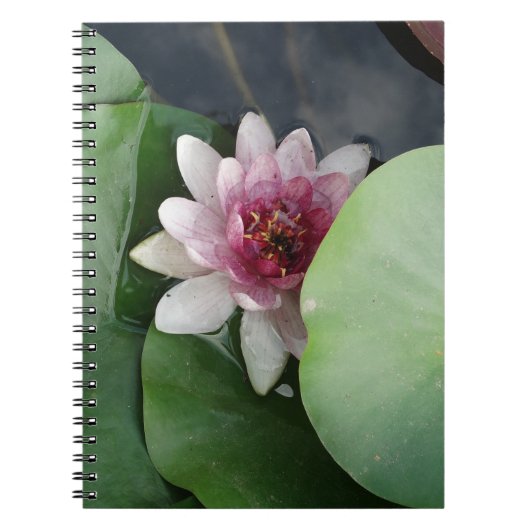 Lotus Flower Foto Notitieboek (Voorkant)