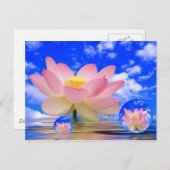 Lotus Flower Geboren in water Briefkaart (Voorkant / Achterkant)