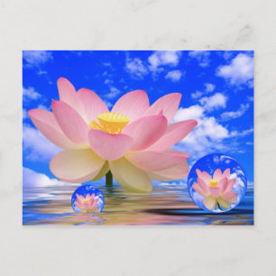 Lotus Flower Geboren in water Briefkaart