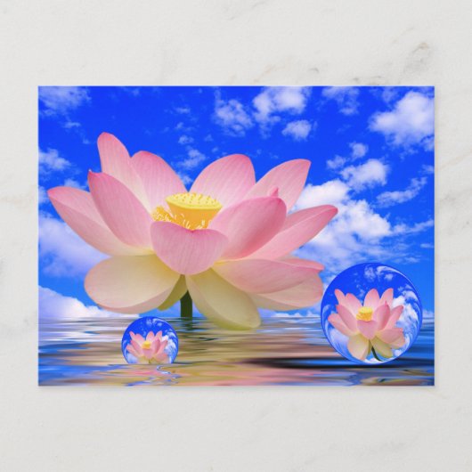Lotus Flower Geboren in water Briefkaart (Voorkant)