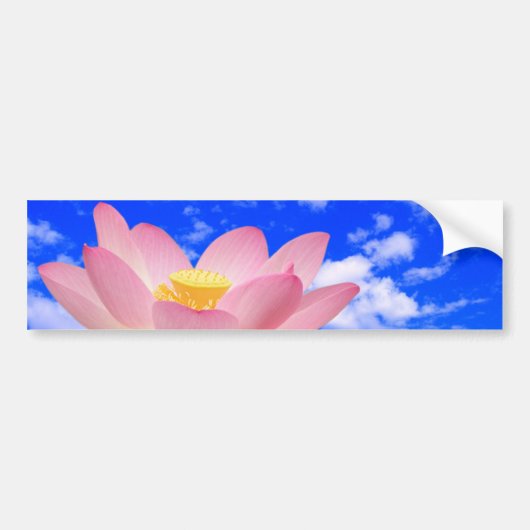 Lotus Flower Geboren in water Bumpersticker (Voorkant)