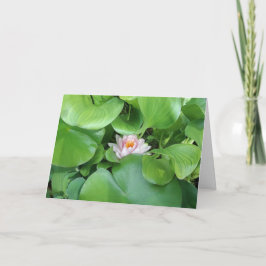 Lotus Flower- Gevouwen Wenskaart Kaart