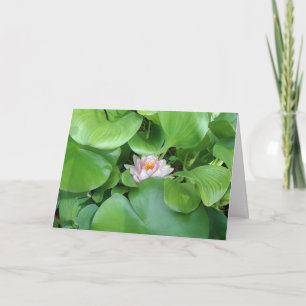 Lotus Flower- Gevouwen Wenskaart Kaart
