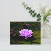 Lotus Flower Green Floral Pond Zen Briefkaart (Staand voorkant)