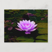 Lotus Flower Green Floral Pond Zen Briefkaart (Voorkant)
