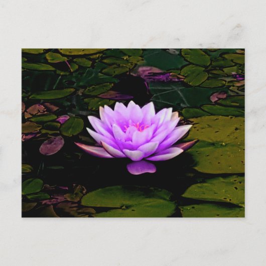 Lotus Flower Green Floral Pond Zen Briefkaart (Voorkant)