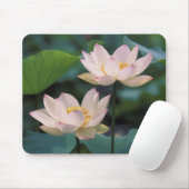 Lotus flower in bloesem, China Muismat (Met muis)