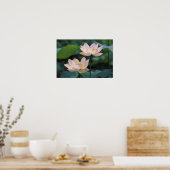 Lotus flower in bloesem, China Poster (Keuken)
