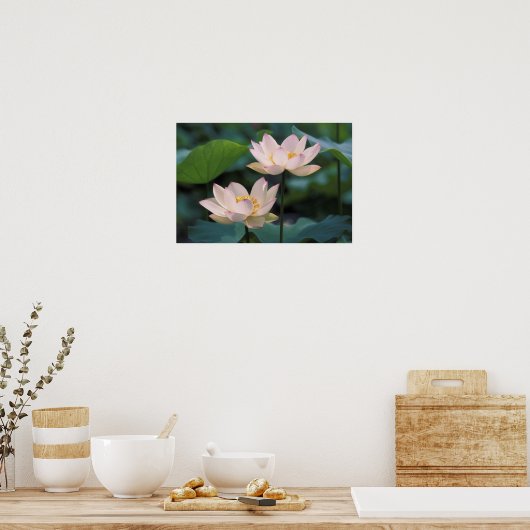 Lotus flower in bloesem, China Poster (Keuken)