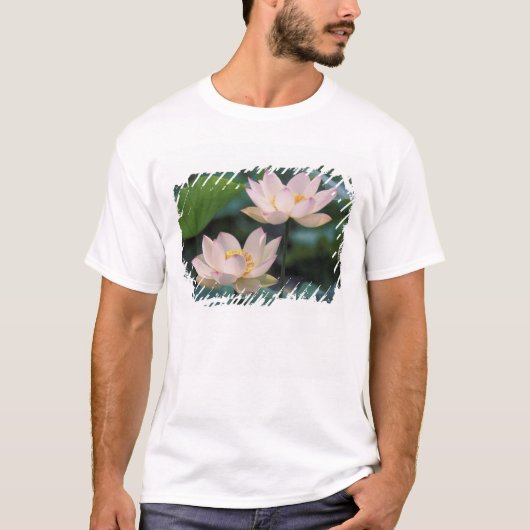 Lotus flower in bloesem, China T-shirt (Voorkant)