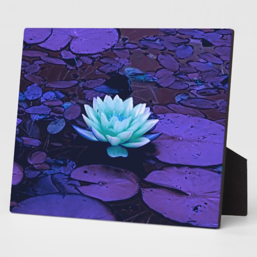 Lotus Flower Magical Paars Blue Turquoise Floral Fotoplaat (Zijkant)