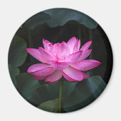 Lotus Flower Magneet (Voorkant)