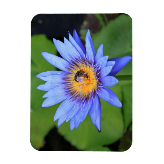 Lotus flower magneet (Verticaal)