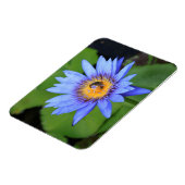 Lotus flower magneet (Linkerzijde)