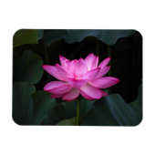 Lotus Flower Magneet (Horizontaal)