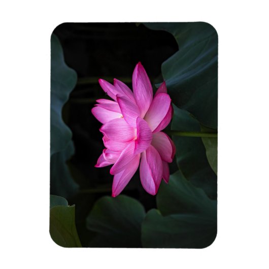 Lotus Flower Magneet (Verticaal)