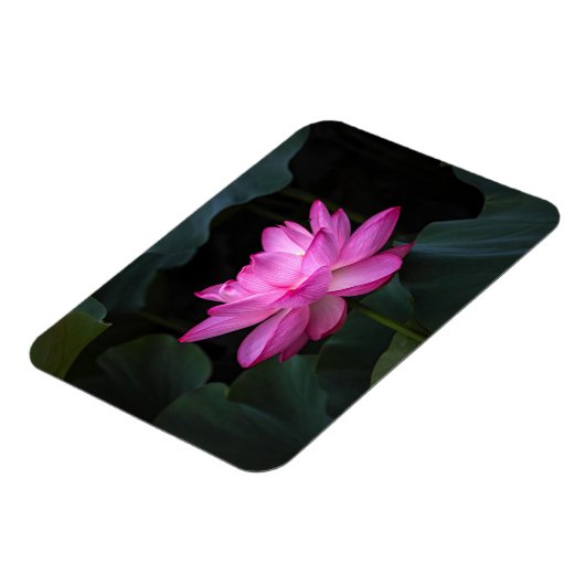 Lotus Flower Magneet (Linkerzijde)