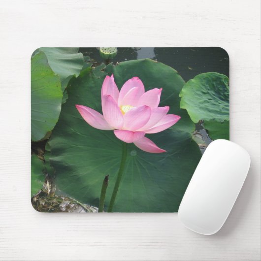 Lotus flower muismat (Met muis)