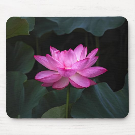 Lotus Flower Muismat (Voorkant)
