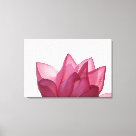 Lotus flower [Nelumbio speciosum] in haar geheel Canvas Afdruk (Voorkant)