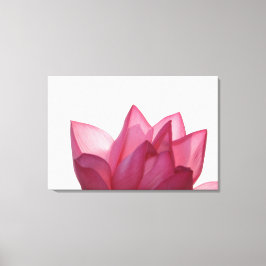 Lotus flower [Nelumbio speciosum] in haar geheel Canvas Afdruk