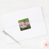 Lotus flower, Nelumbo nucifera, China 2 Vierkante Sticker (Envelop)